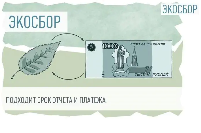 Нововведения сдачи отчета и расчета экологического сбора в 2026 году в РФ